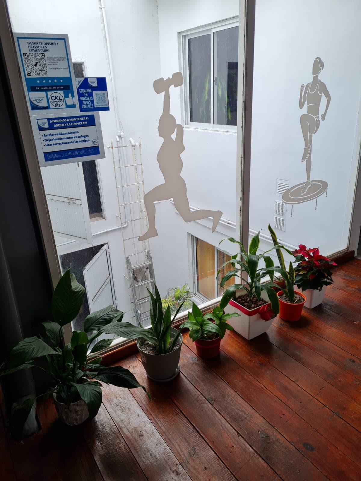 Instalaciones del centro - imagen 26